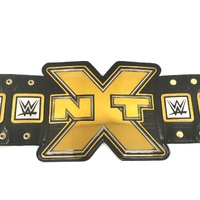 WWE NXT Championship Belt Replica 2014 V1 with Dust Cover Authentic