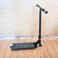 Custom Trick Scooter Native Advent 2 Deck 6x22 Inch Pro Stunt Scooter