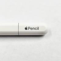 Apple Pencil USB-C A3085 Stylus for iPan Magnetic Attache Pixel Perfect