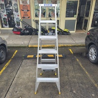 Bailey FS14176 Contractor 6 Dual Purpose Leansafe Ladder