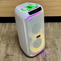 X Echo Lunar 110 Tower Speaker 50W RGB Wireless White 605912 Bluetooth