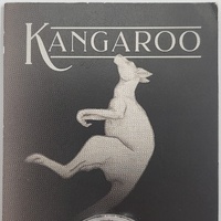 2024 Perth Mint Mini Kangaroo Gold Coin 0.5g 99.99% Pure Gold $2 AUD in Display Card
