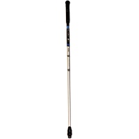 Aldila Ascent Blue 40 W-Flex Women's Golf Shaft with Adapter