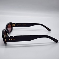 Wyld Blue x Pared Hazed Sunglasses Black Gold Frame Tinted Lens PE2305B