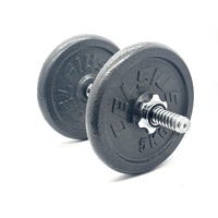 Celsius 50kg Dumbbell Weight Set Cast Iron Fitness Home Gym Gear