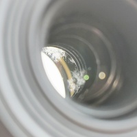 Canon EF-S 55-250mm f/4-5.6 IS II Lens Fungus Parts Only