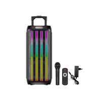 NEW SING-E Dual 8 inch High Power Subwoofer Speaker with Colourful RGB Lights