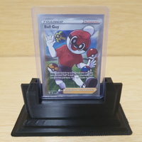 Pokemon - Trainer Ball Guy Supporter 065/072