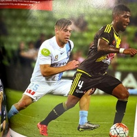 Games Goals Glory A-League Teams Players Coaches Moments Hardcover Roy Hay