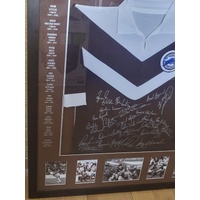 Penrith Panthers Limited Edition Signed Legends Jersey Framed 49 of 500