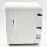Portable Mini Makeup & Cosmetic Fridge Cooler Warmer LED Mirror 4L 12V DC Skincare Refrigerator