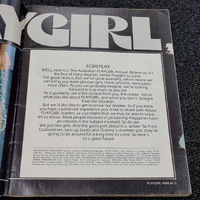 Playgirl Annual Magazine #29 Vintage Adult Entertainment