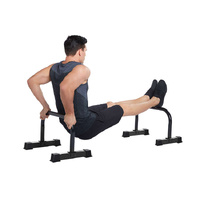 Celsius Cross Training Parrallette Pair