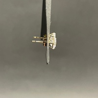 Unisex 9ct Yellow Gold Cubic Zirconia Stud Earrings