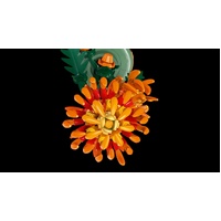 LEGO Botanical Chrysanthemum 10368 Set 278pcs Flowers for Adults 18+