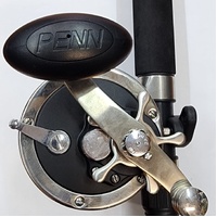 Penn GT Special 5 ft 6 in Saltwater Fishing Rod and 330GT2 Levelwind Reel