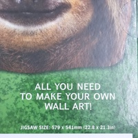 Hinkler Sloth 500 Piece Jigsaw Puzzle 579 x 541mm Fun Animal Puzzle