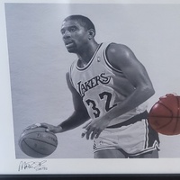 Large View Magic Johnson LA Lakers Wings Tribute Framed Memorabilia 93cm x 40cm