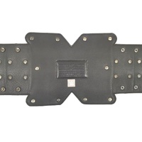 WWE NXT Championship Belt Replica 2014 V1 with Dust Cover Authentic