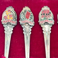 Vintage EPNS A1 Silver Plated Wildflowers of Australia 6 Spoon Set Souvenir