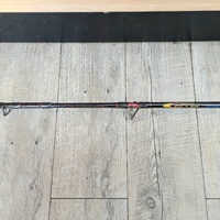 Shimano RTS Fishing Rod with Penn Slammer 760L Live Liner Reel