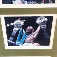 Conor McGregor UFC Framed Memorabilia Limited Edition 378/499 COA 16x20