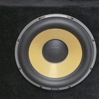 Rockford Fosgate Dual 10 Inch Subwoofer