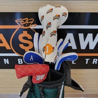 Assorted 10pc Golf Club Set – Mizuno JPX925 Irons, Cobra Aerojet Max Driver, Odyssey Putter, Stand Bag