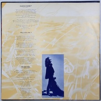Robert Plant Now and Zen 1988 Vinyl Record LP Classic Rock Album 12" Analog Stereo Collectible