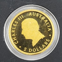 2024 Perth Mint Mini Kangaroo Gold Coin 0.5g 99.99% Pure Gold $2 AUD in Display Card