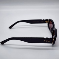 Wyld Blue x Pared Hazed Sunglasses Black Gold Frame Tinted Lens PE2305B