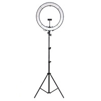 Hakutatz 19" 48cm Dimmable LED Ring Light with Tripod for Tattoo Artists
