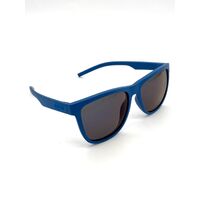 Polaroid PLD 6014/S ZDI/JY Unisex Blue Sunglasses
