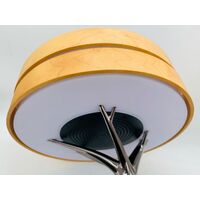 Dawn Lamp Modern Desk Lamp Multifunctional LZ-S2020 with Power Cord (Pre-owned)
