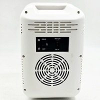 Portable Mini Makeup & Cosmetic Fridge Cooler Warmer LED Mirror 4L 12V DC Skincare Refrigerator