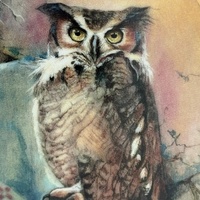 Franklin Mint Heirloom Plate Princess of Wisdom P02219 Native Owl Art