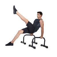 Celsius Cross Training Parrallette Pair