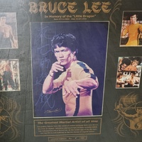 Bruce Lee In The Memory of The Little Dragon Limited Edition 005/900 Memorabilia