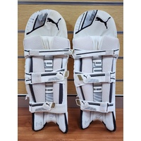 Puma Mens Senior Evo Cricket Gear Pads Gloves Thigh Guard and Masuri Helmet