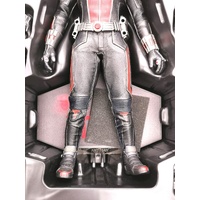 Hot Toys Marvel Ant-Man MMS 308 1/6 Scale Collectible Figure Movie Masterpiece