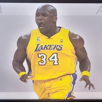 Large View Shaquille O'Neal Lakers Framed Art 93x40cm Wicked NBA Memorabilia