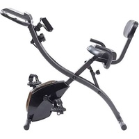 Slim Cycle 2 in 1 Foldable Exercise Bike Home Gym Upright Recumbent
