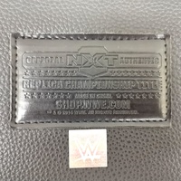 WWE NXT Championship Belt Replica 2014 V1 with Dust Cover Authentic
