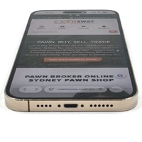 Apple iPhone 14 Pro Max 1TB Gold 6.7 Inch Super Retina XDR Smartphone