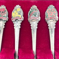 Vintage EPNS A1 Silver Plated Wildflowers of Australia 6 Spoon Set Souvenir
