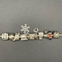 Ladies 925 Sterling Silver Pandora Snake Link Charm Bracelet
