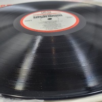 The Hawking Brothers Special Edition Vinyl LP Album
