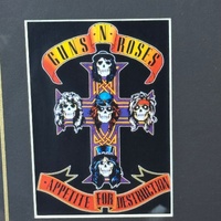 Framed Guns N Roses Appetite for Destruction Memorabilia Art