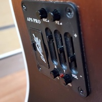 Maton Troubadour Dreadnought AP5 Pro Acoustic Electric Guitar and Case