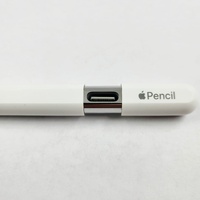 Apple Pencil USB-C A3085 Stylus for iPan Magnetic Attache Pixel Perfect